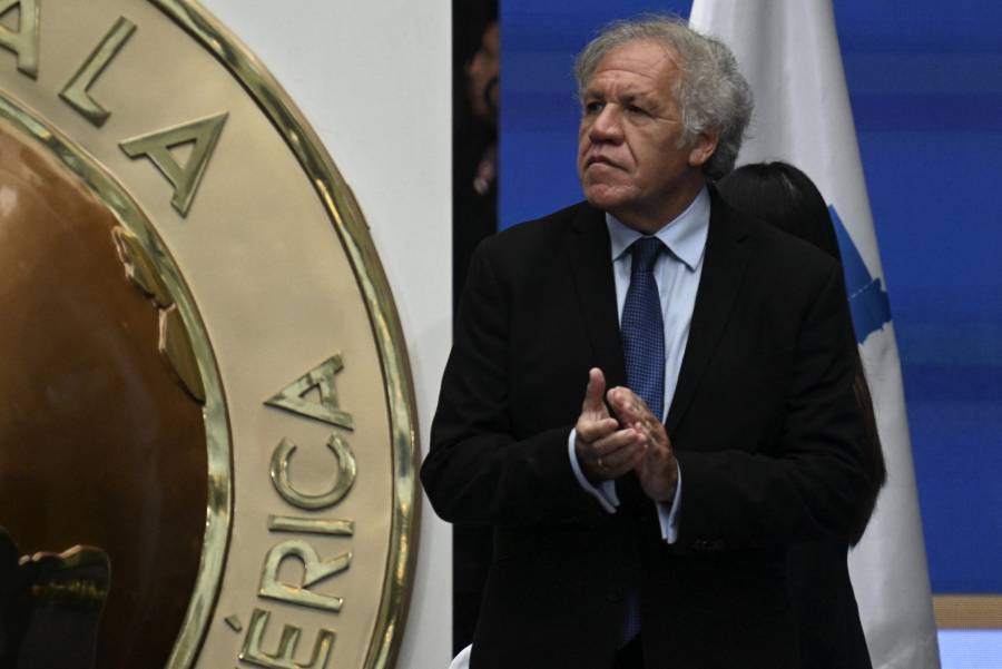 Jefe de la OEA, Luis Almagro, viaja a Guatemala por transición presidencial