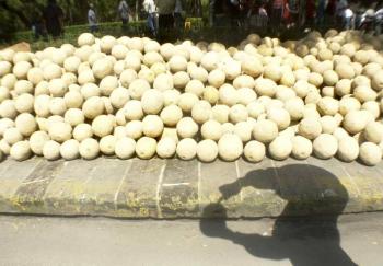 Brote de salmonela en Canad&aacute;: Seis muertos y 153 casos relacionados con melones mexicanos