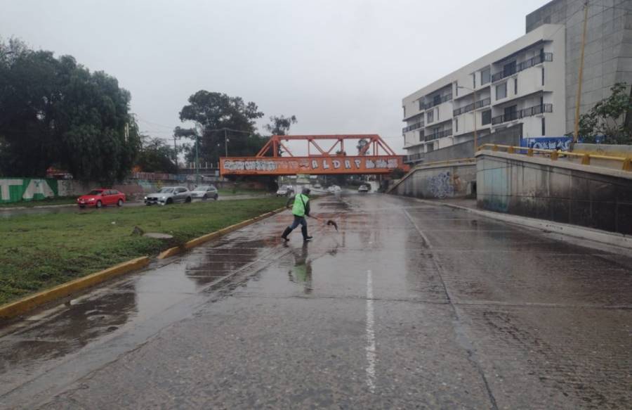 Iniciativa de limpieza en accesos a la Zona Metropolitana de SLP