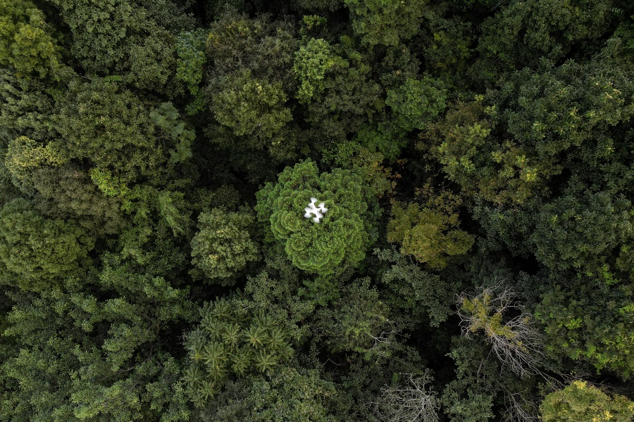 Drones ayudan a resolver el enigma de la captura de carbono en bosques