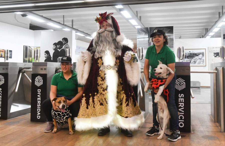 Perritos del Metro serán mensajeros de Santa y los Reyes Magos