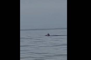 Relatan c&oacute;mo fue el ataque de un animal a un turista en Ixtapa, Zihuatanejo