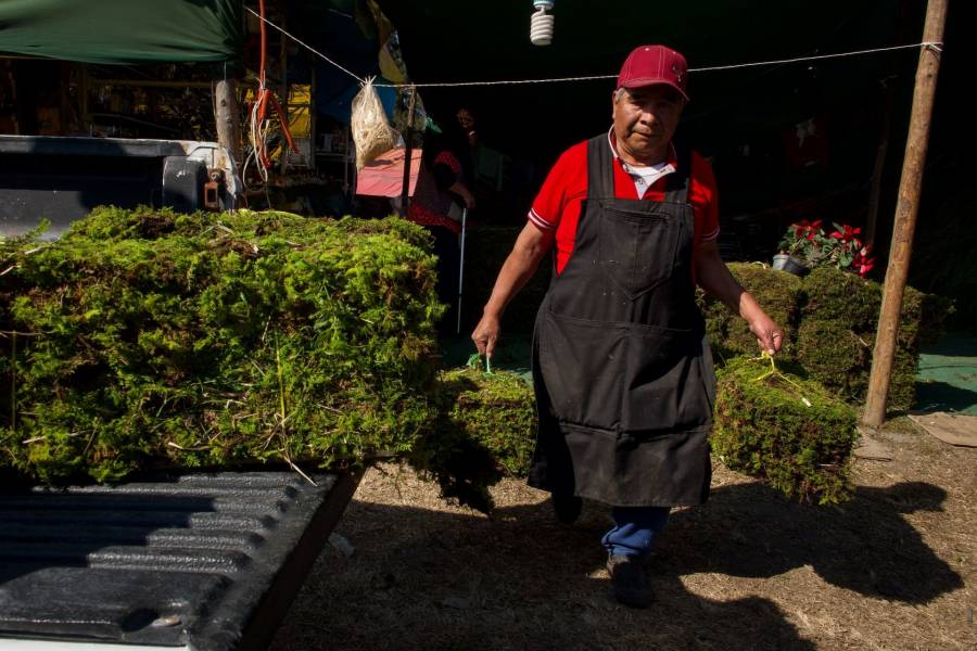 Inicia venta dee romería en la CDMX