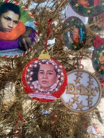 El &Aacute;rbol de la Ausencia en Veracruz: qu&eacute; es y por qu&eacute; se pone en Navidad