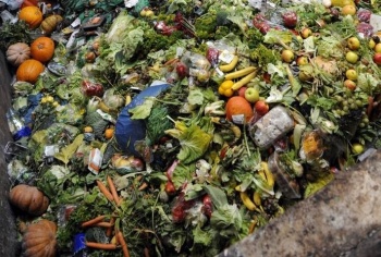 Cheaf: Redefiniendo la lucha contra el desperdicio de alimentos en navidad