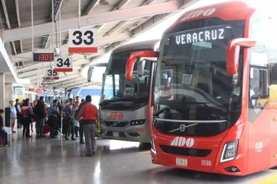 Vigentes los descuentos en autobús o ferrocarril para maestros y estudiantes