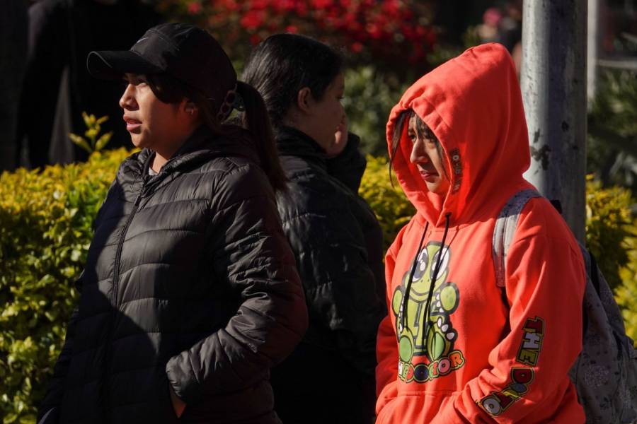 Se esperan heladas duranre este 2 de enero en CDMX: SGIRPC