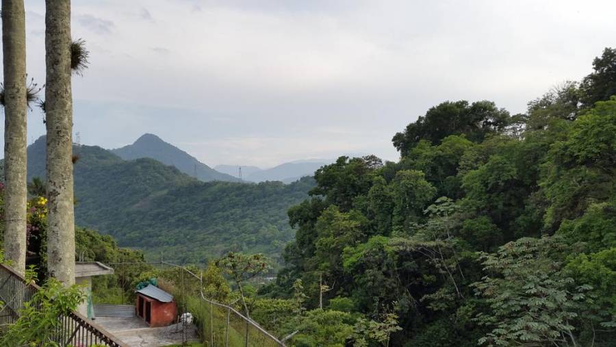 Barranca de Metlac es declarada nueva zona de monumentos históricos en Veracruz