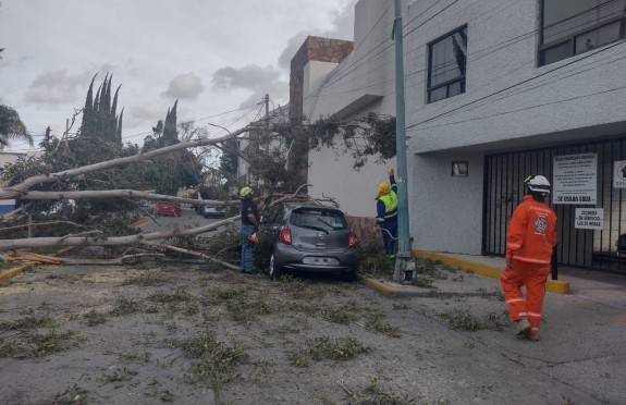 Protección Civil responde ante los efectos del Frente Frío 25 y la Tormenta Invernal
