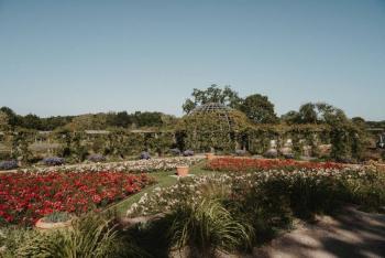 Jardines p&uacute;blicos contribuyen al problema de especies invasoras no nativas