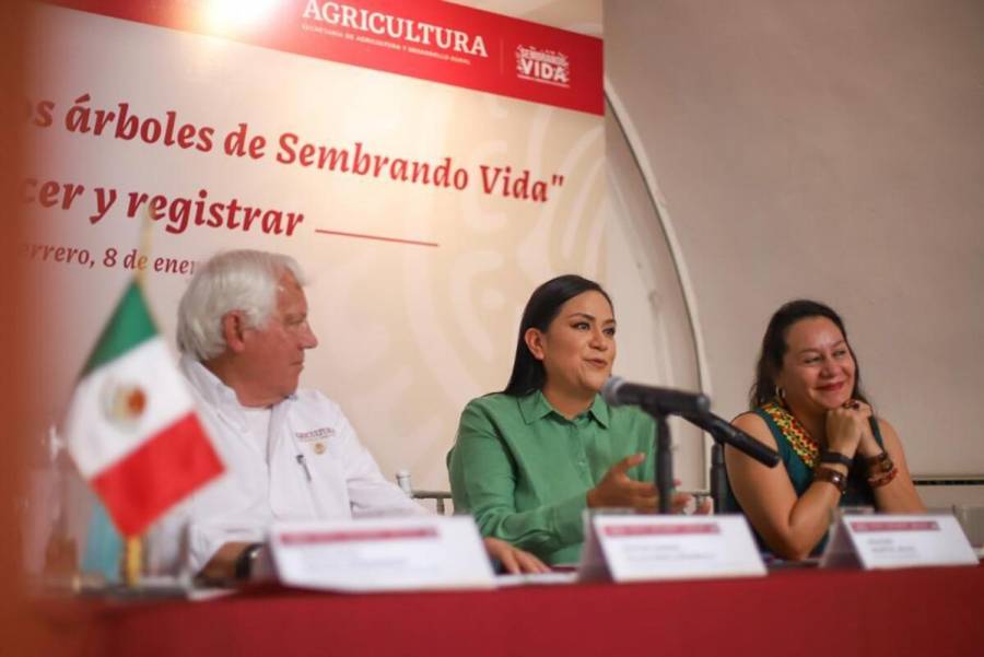 Bienestar, Medio Ambiente y Agricultura registran árboles y especies del programa Sembrando Vida