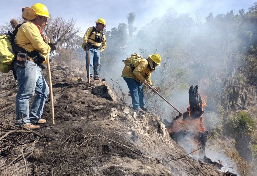 Garantiza gobierno estatal cuidado ambiental con Centro Estatal de Manejo del Fuego