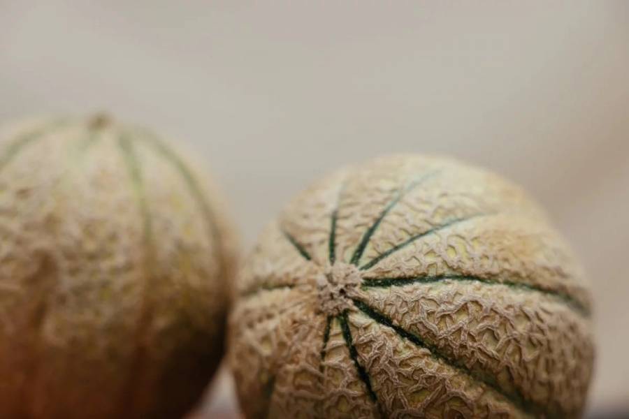 Producción de melón en Sonora no está contaminada, según análisis de laboratorio