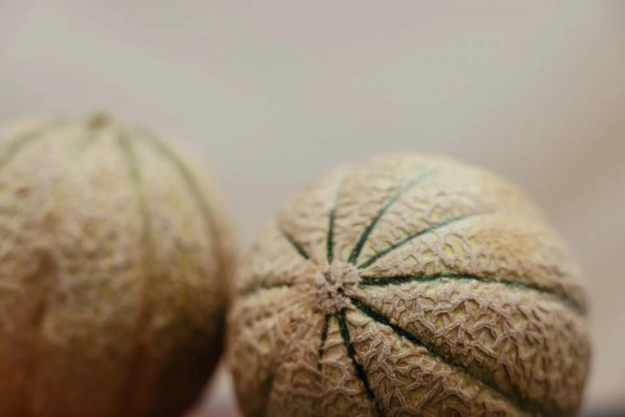 Producci&oacute;n de mel&oacute;n en Sonora no est&aacute; contaminada, seg&uacute;n an&aacute;lisis de laboratorio