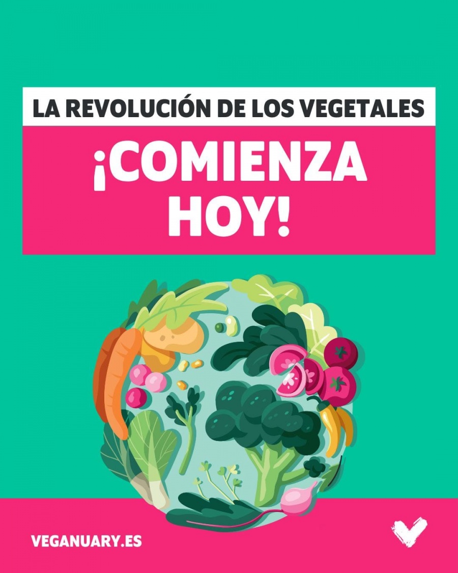 Subway se une a Veganuary en México con el Footlong Teriyaki Veg