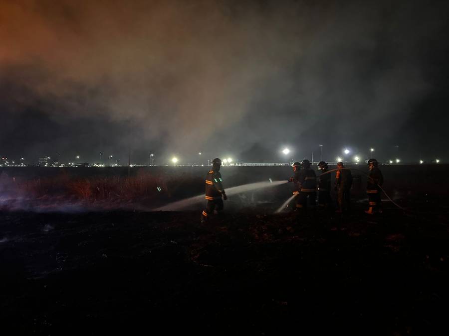 Sofocan Bomberos de Tecámac incendio de pastizales en inmediaciones del AIFA