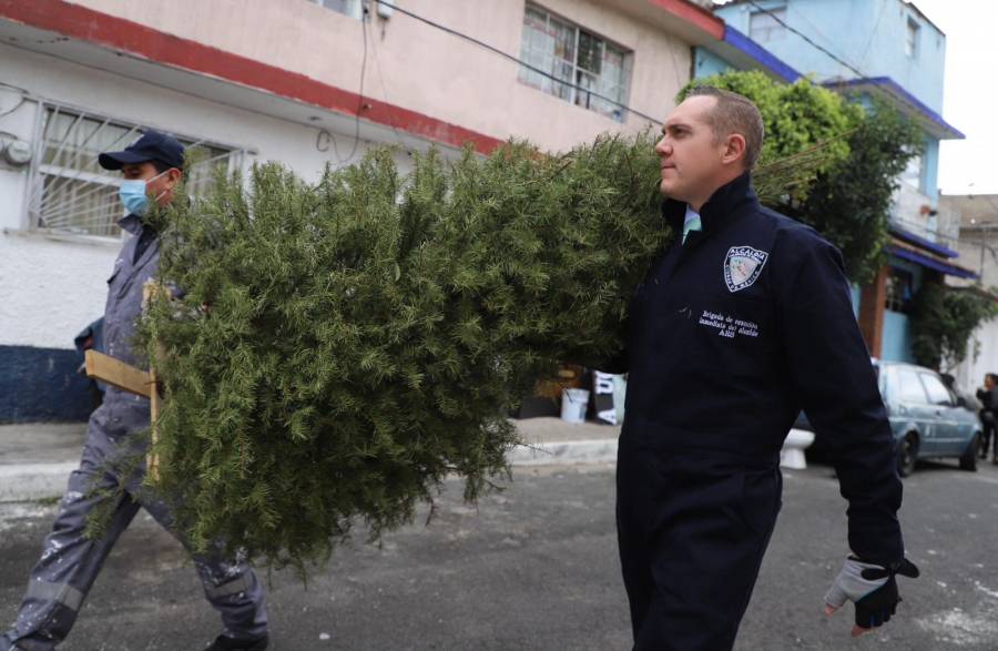 Adrián Rubalcava dio inicio al programa “Árbol por Árbol, Tu Ciudad Reverdece”