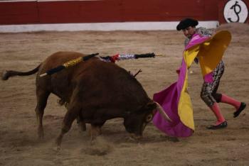 Corridas de toros vuelven a la CDMX tras una batalla judicial