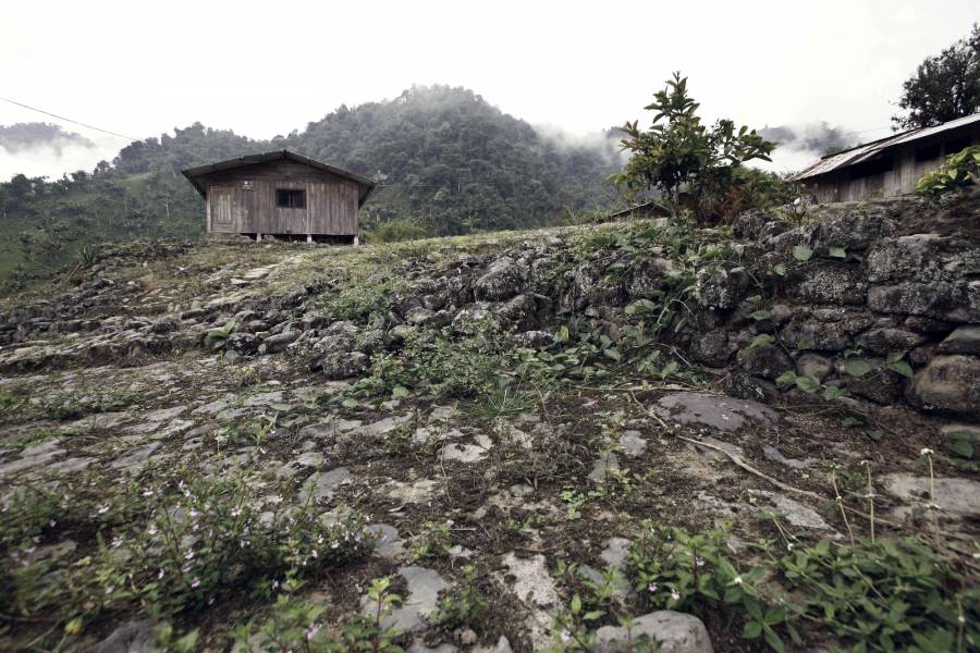 Arque&oacute;logos descubren vestigios de una inmensa red de ciudades amaz&oacute;nicas