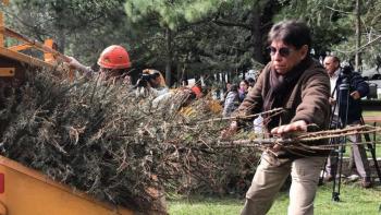 Inicia Probosque campa&ntilde;a de Reciclaje de &Aacute;rboles de Navidad naturales
