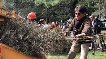 Inicia Probosque campaña de Reciclaje de Árboles de Navidad naturales