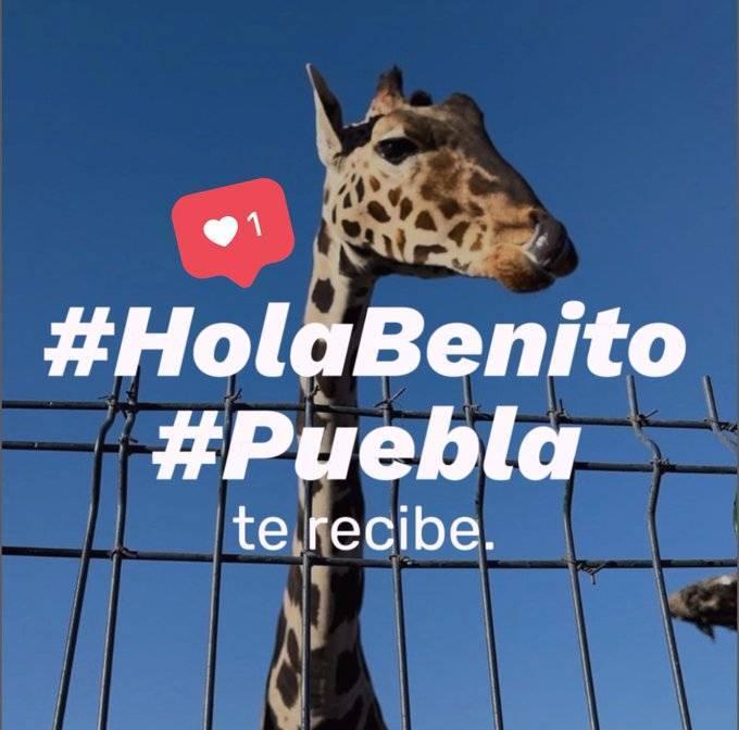 Jueza ordena traslado de Benito especificamente a Puebla