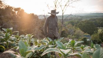 Cerca de 80.000 familias campesinas recibirán 800.000 hectáreas de tierra fértil en el 2024
