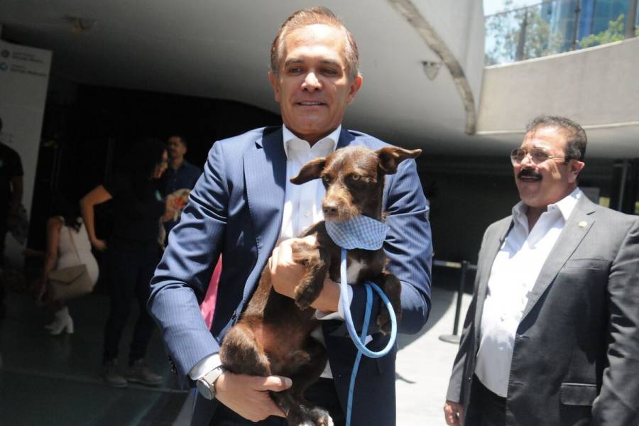 Miguel Ángel Mancera impulsa reformas para evitar embargo de animales domésticos