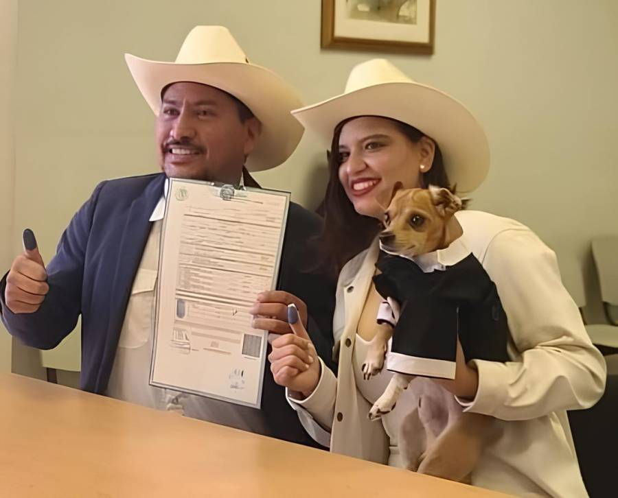 Rodrigo, un perrito chihuahua, firma como testigo en boda de sus dueños en Sonora