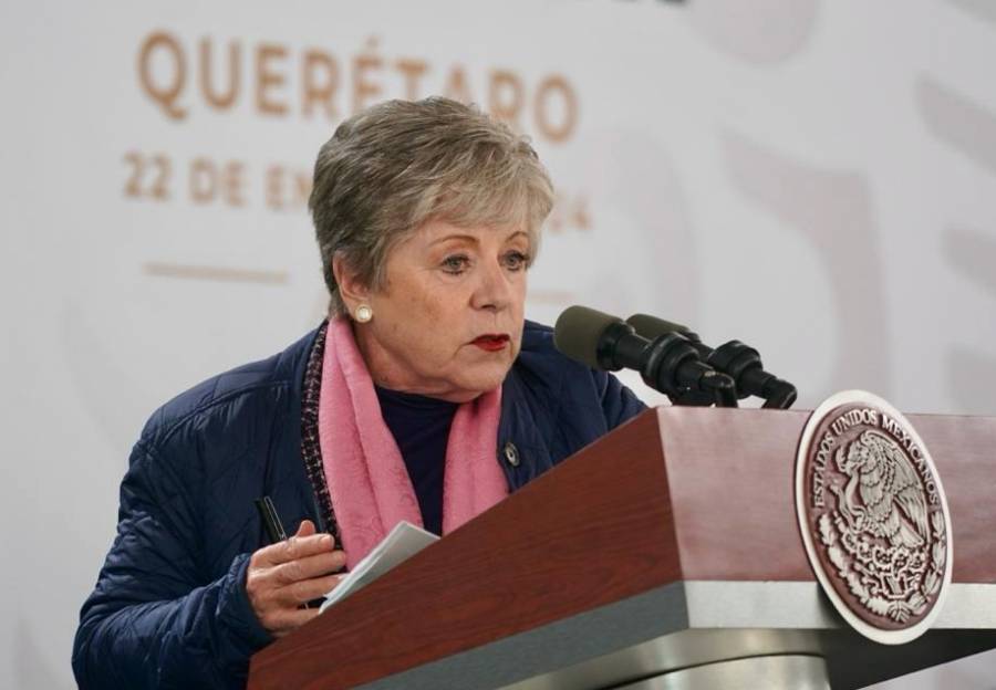 Se redujo migraci&oacute;n al 50%: Alicia B&aacute;rcena