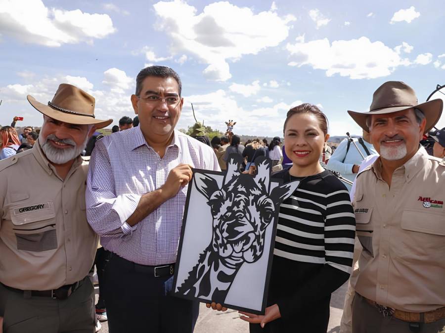 Puebla da bienvenida a jirafa 