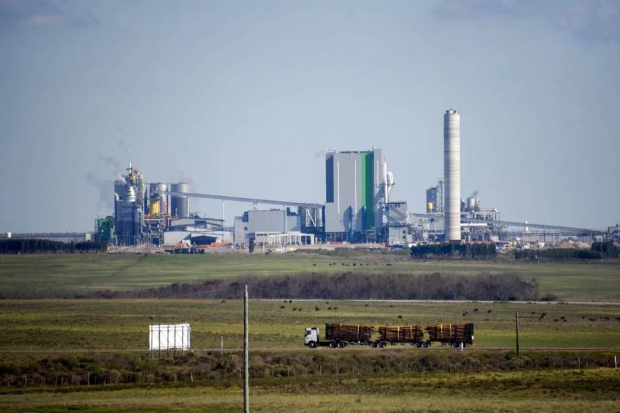 Finlandesa UPM paga multa por derrame de soda ca&uacute;stica en Uruguay