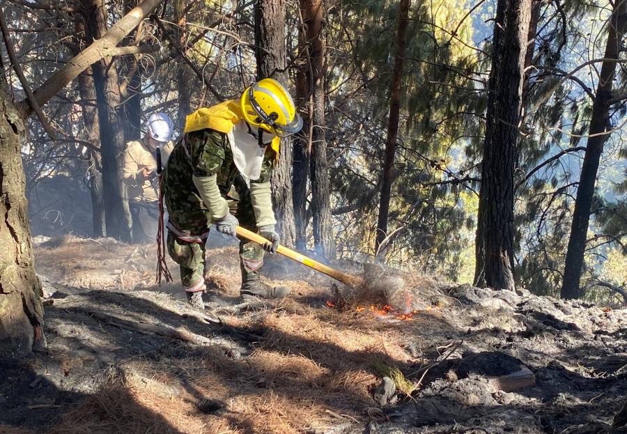 Suben a 21 los incendios forestales en Colombia en medio de récords de calor