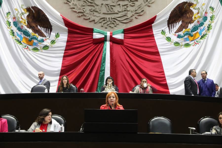 Rosario Piedra se pronuncia por desaparecer CNDH y crear una defensoría