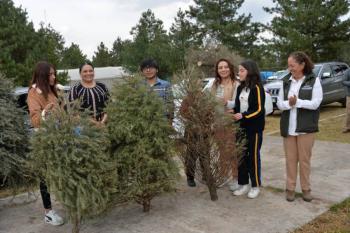 Inicia Jornada Ambiental de Recolecci&oacute;n de &Aacute;rboles Naturales de Navidad para Compostaje