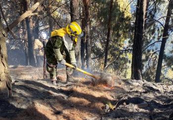 Suben a 21 los incendios forestales en Colombia en medio de r&eacute;cords de calor