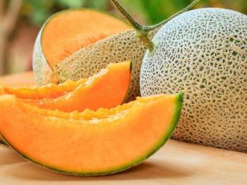 Melón mexicano, un fruto con creciente demanda y producción nacional: Agricultura