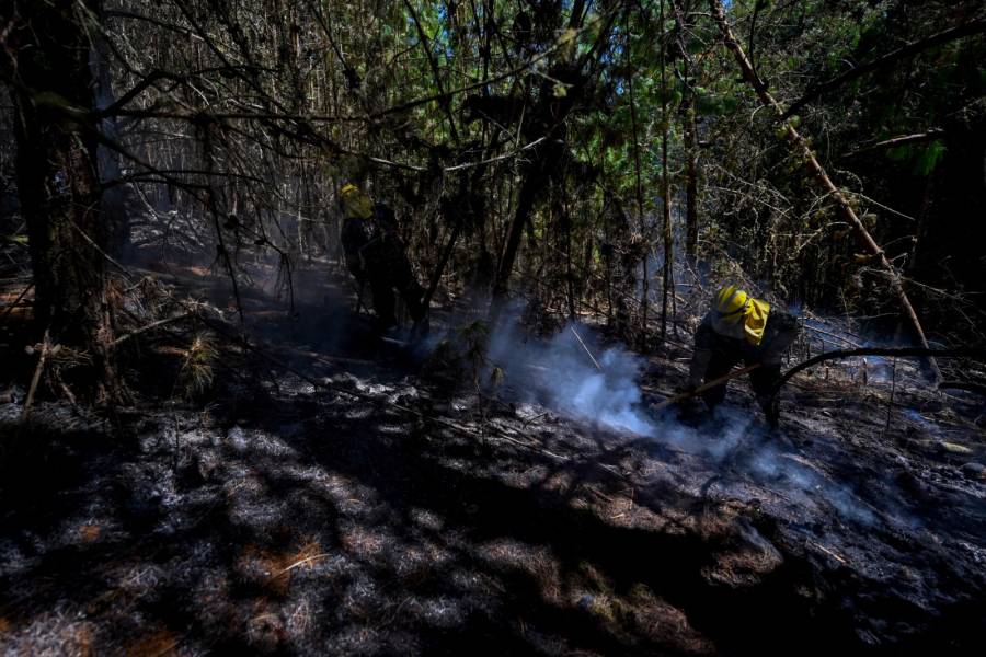 Colombia ha perdido 17.192 hect&aacute;reas de vegetaci&oacute;n en incendios vinculados a El Ni&ntilde;o