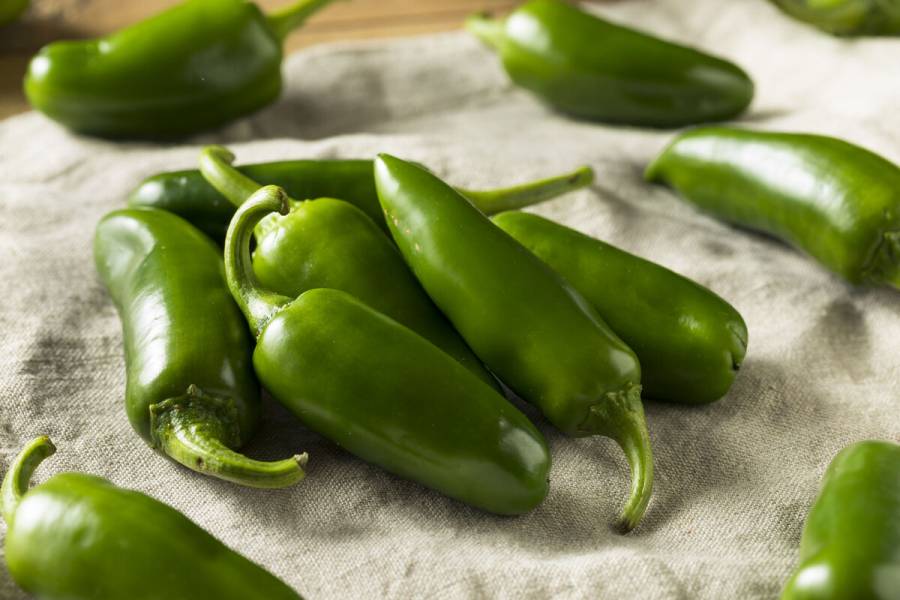 M&eacute;xico, entre los principales productores de chile verde en el mundo: Agricultura
