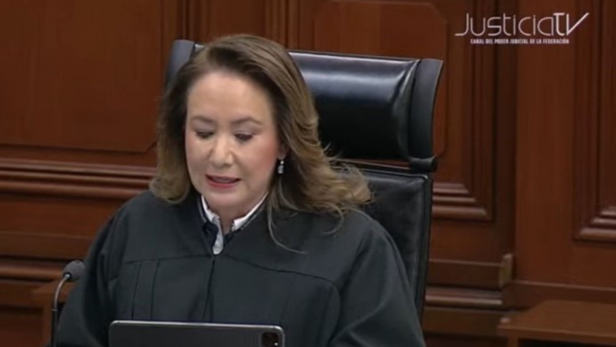 La nulidad de marcas puede demandarse en cualquier momento: Yasmín Esquivel