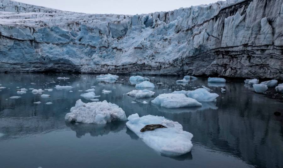 Petro cancela viaje Internacional ante crisis ambiental en Colombia