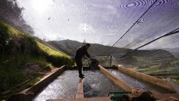 Monitoreo al abastecimiento de alimentos por fen&oacute;meno de El Ni&ntilde;o