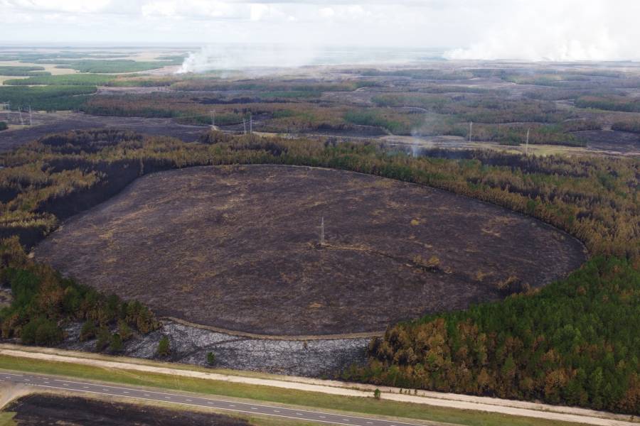 Fuego arrasa más de 3.000 hectáreas de bosque nativo en Patagonia argentina
