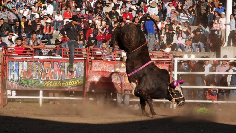 Regreso de las corridas de toros a la Ciudad de México: Celebrando el 78 aniversario de la monumental plaza