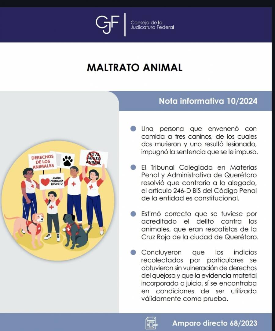 Constitucional tipo penal de maltrato animal en Querétaro, determina Tribunal Colegiado