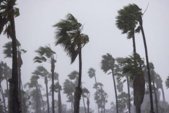 Un muerto y centenares de miles de usuarios sin electricidad por tormentas en California