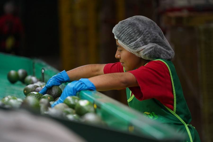 Enero registra incremento de 109 mil puestos de trabajo: IMSS