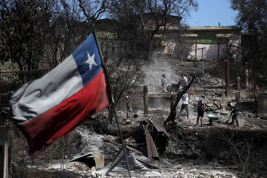 Veterinarios luchan por las mascotas afectadas por incendios en Chile