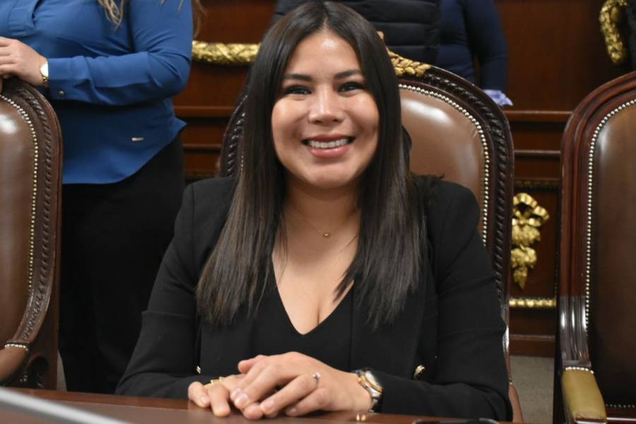 Diputada Lourdes Paz: 