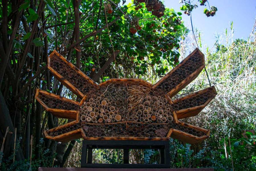 Crean hoteles para insectos en centros de conservación de la fauna silvestre